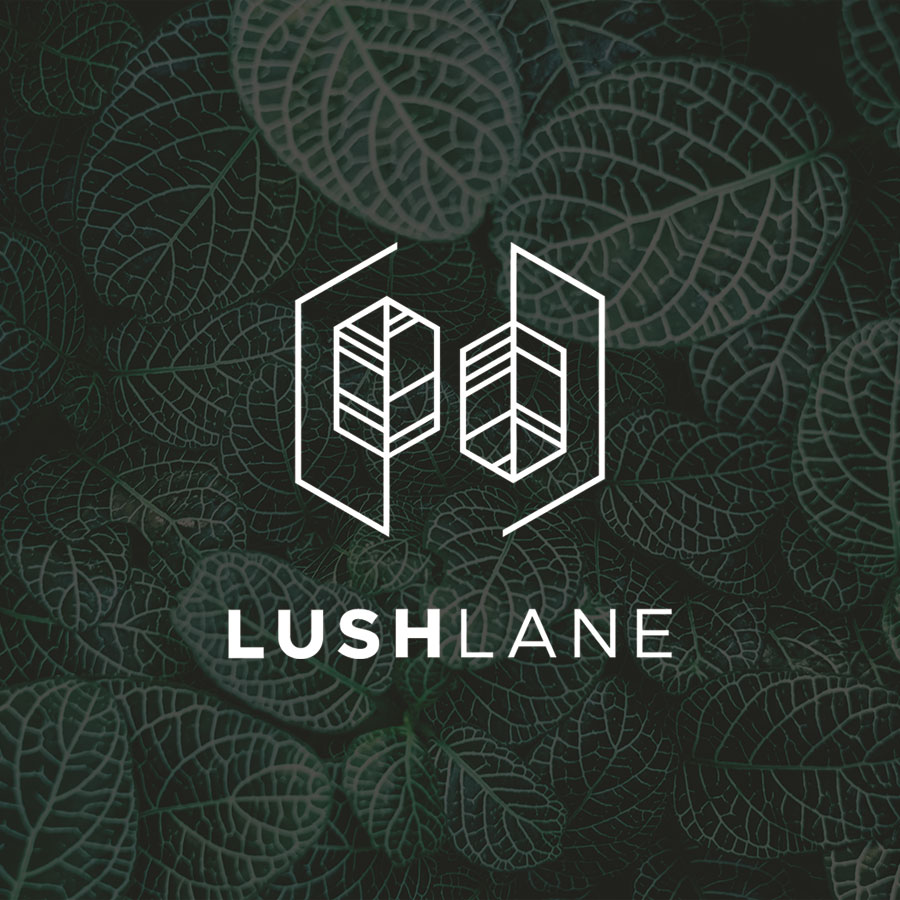 Lush Lane, Branding, Graphic Design, ninetyblack