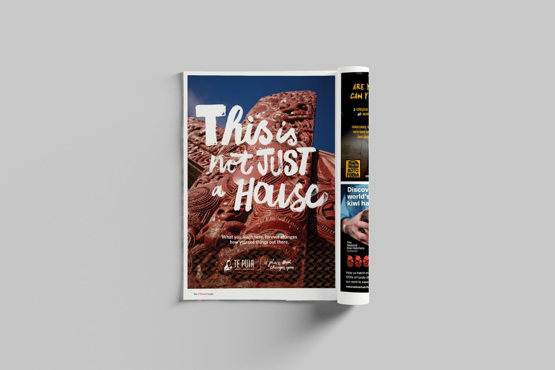 Ultimate Guide, Design, Publication, Ninetyblack